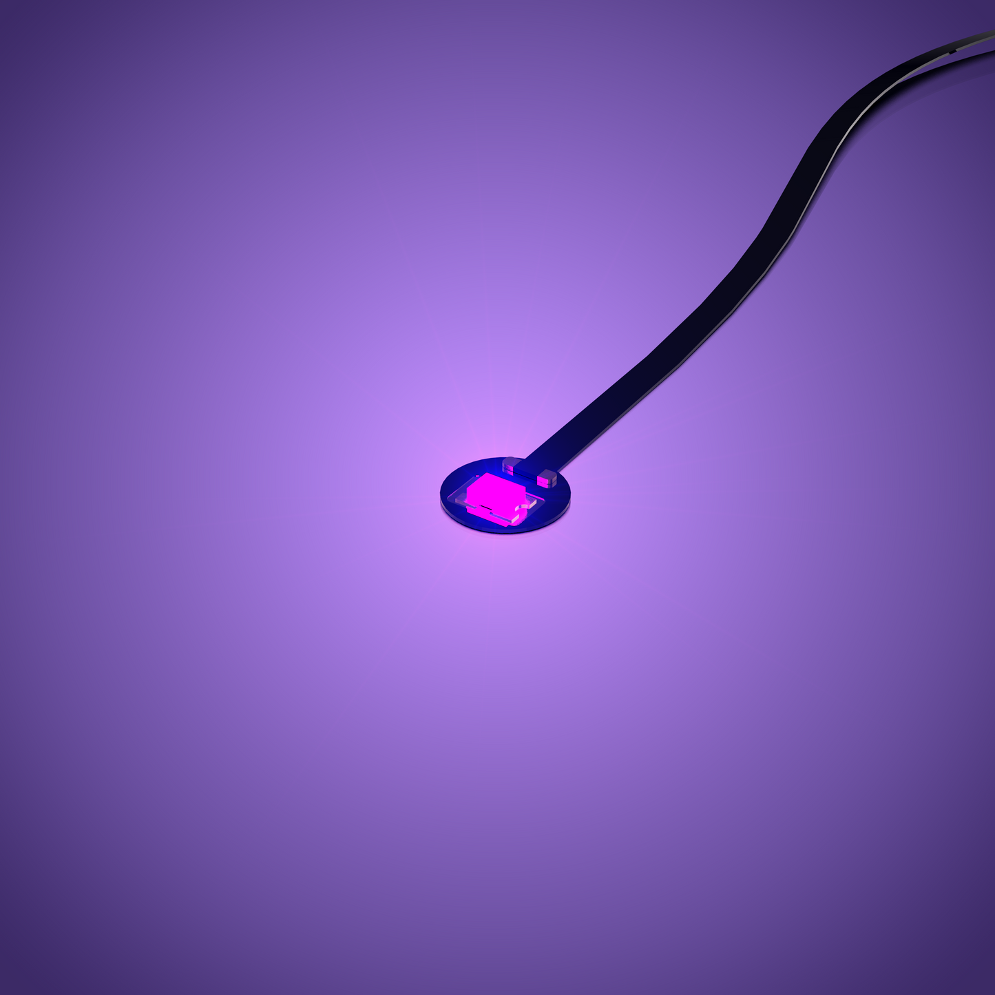 LMB 2.0 Astro Light Regular - Purple 15cm (4 Pack)