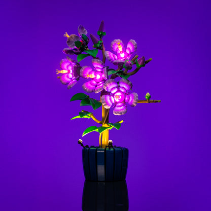 Light Kit for LEGO® Botanicals Hibiscus #10372