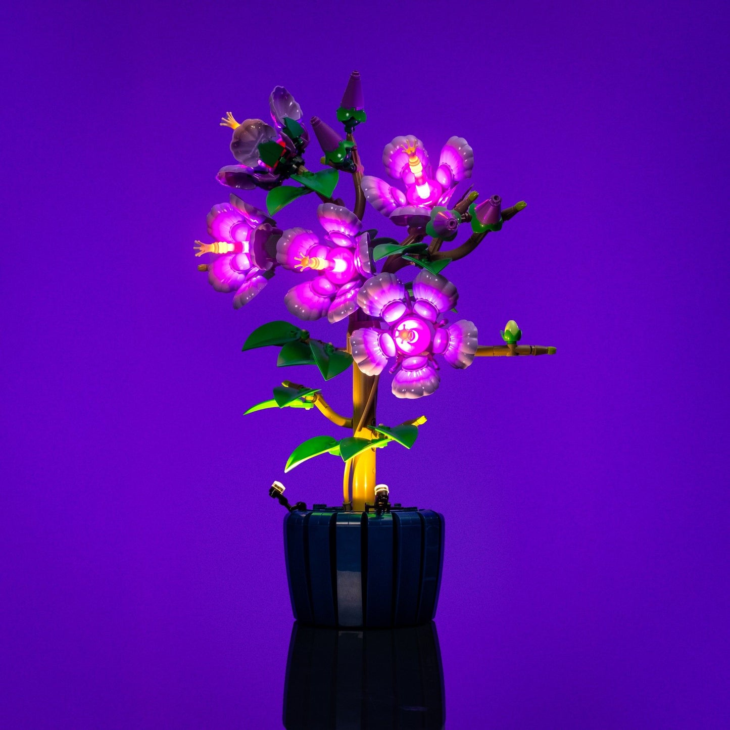 Light Kit for LEGO® Botanicals Hibiscus #10372