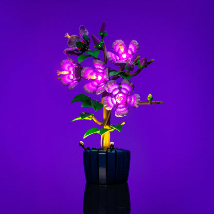 Light Kit for LEGO® Botanicals Hibiscus #10372