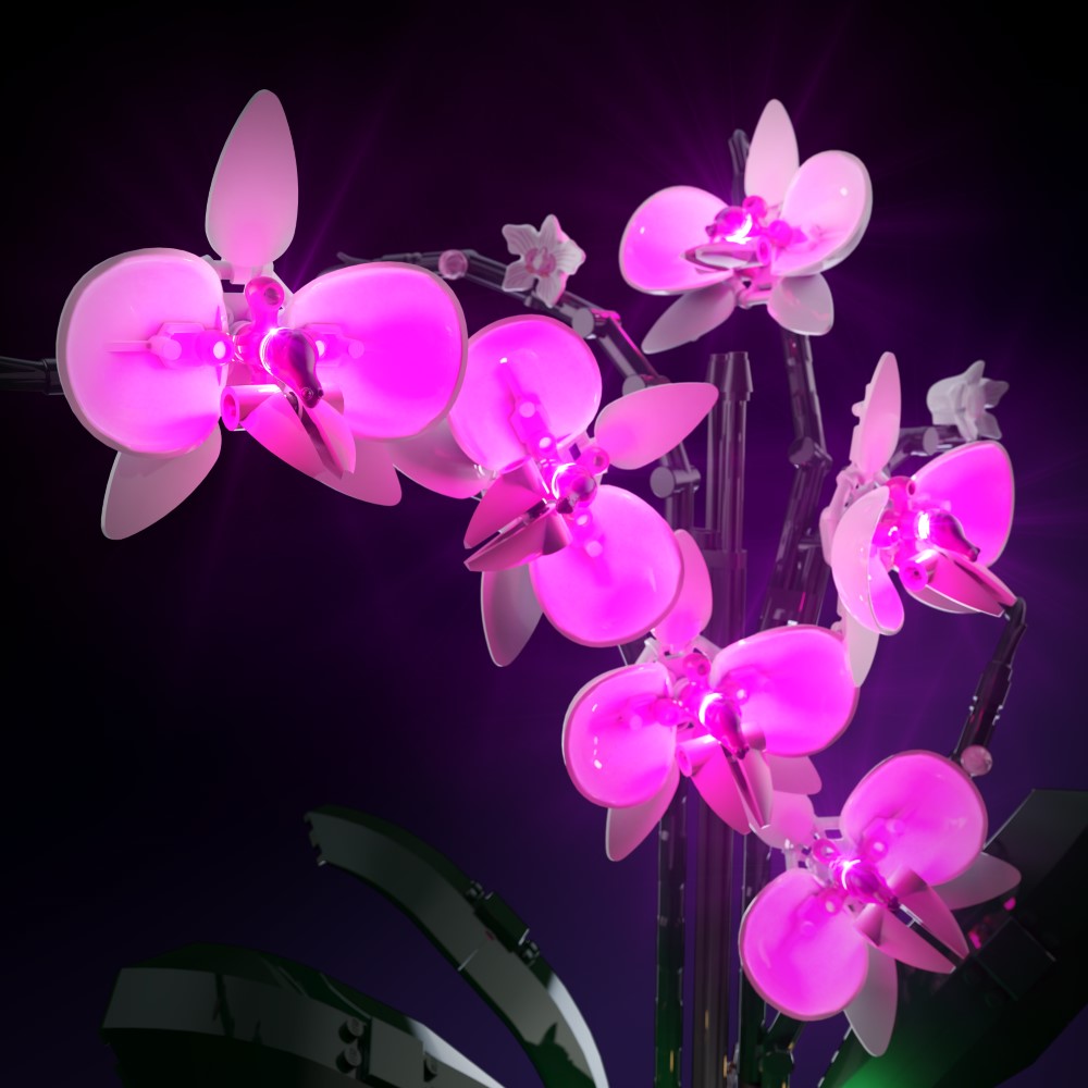 LMB 2.0 Light Kit for LEGO® Orchid #10311