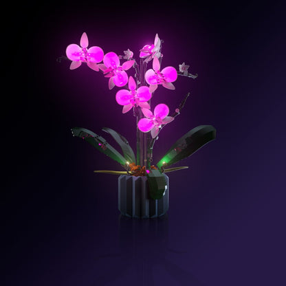 LMB 2.0 Light Kit for LEGO® Orchid #10311
