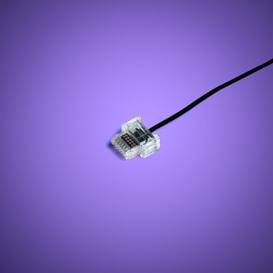 Powered Up Belt - 15cm