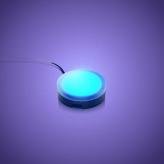 Solar Light - Blue 30cm (2 Pack)