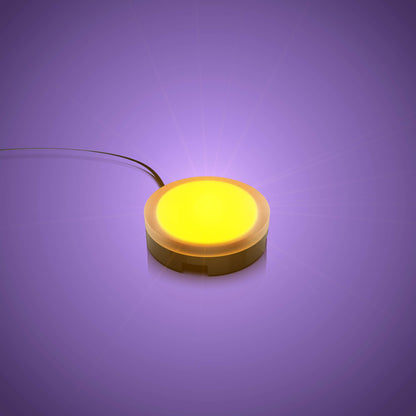 Solar Light - Orange 30cm (2 Pack)