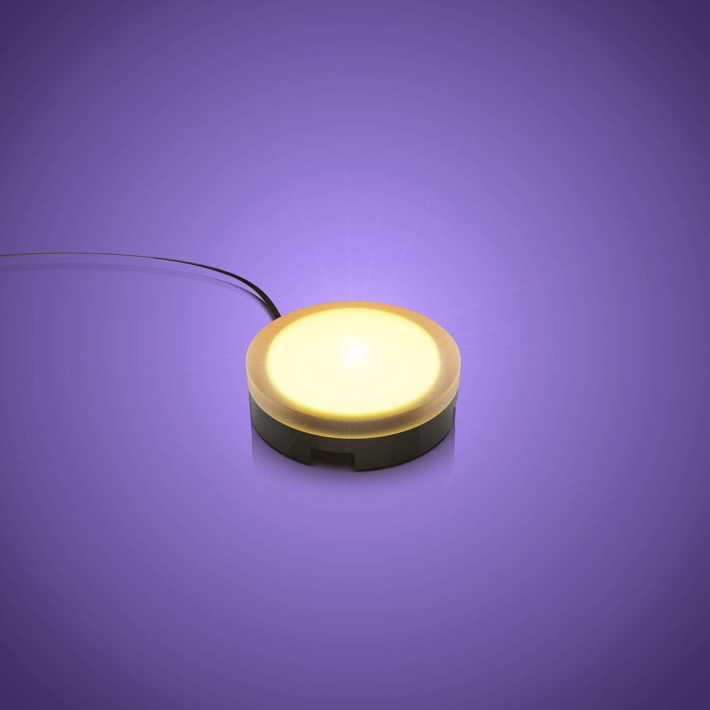 Solar Light - Warm White 30cm (2 Pack)