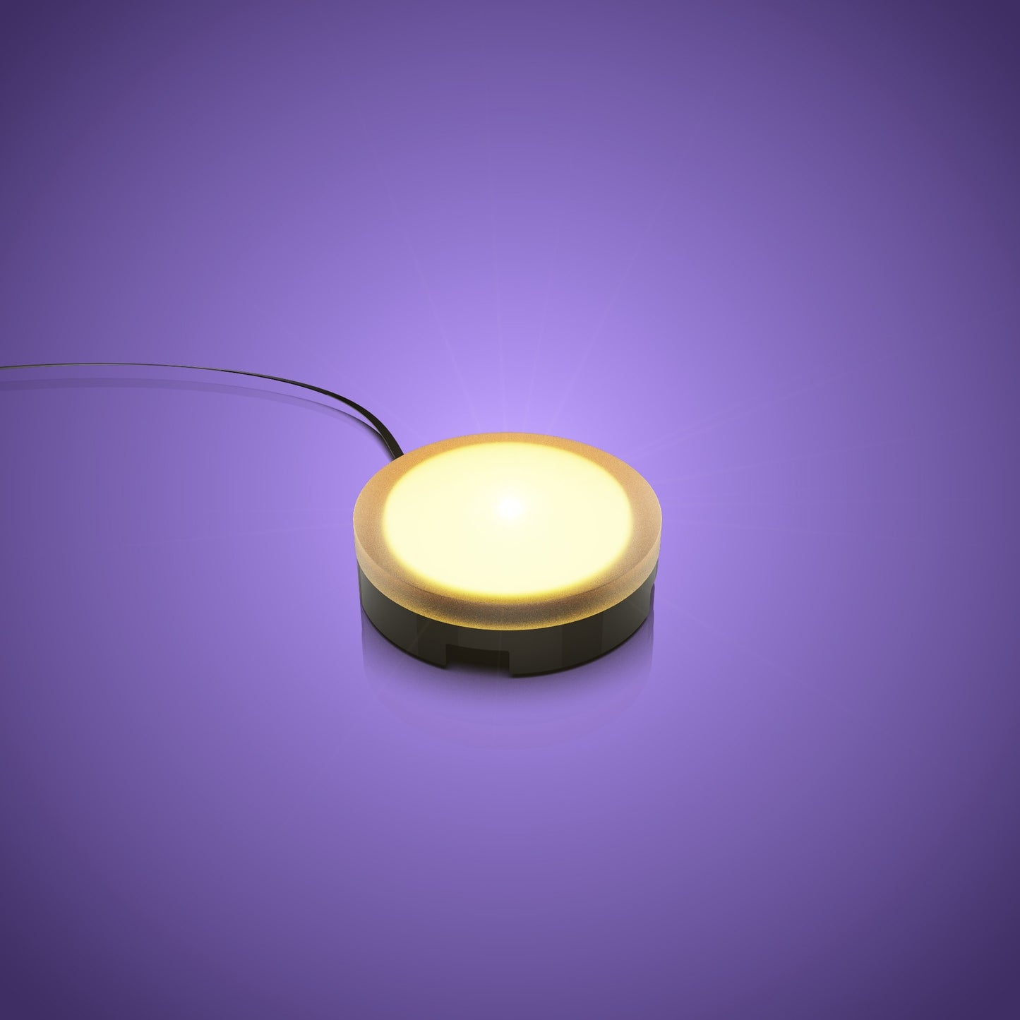 Solar Light - Warm White 30cm (2 Pack)