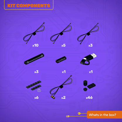 Light Kit for LEGO® The Endurance #10335