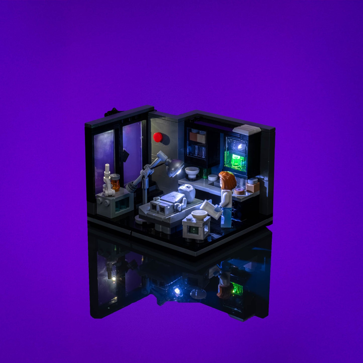 Light Kit for LEGO® The X-Files Scully's Lab #40896
