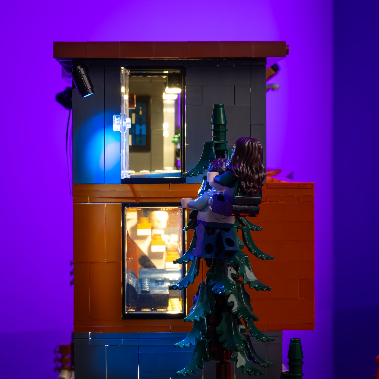 LMB 2.0 Light Kit for LEGO® Twilight The Cullen House #21354